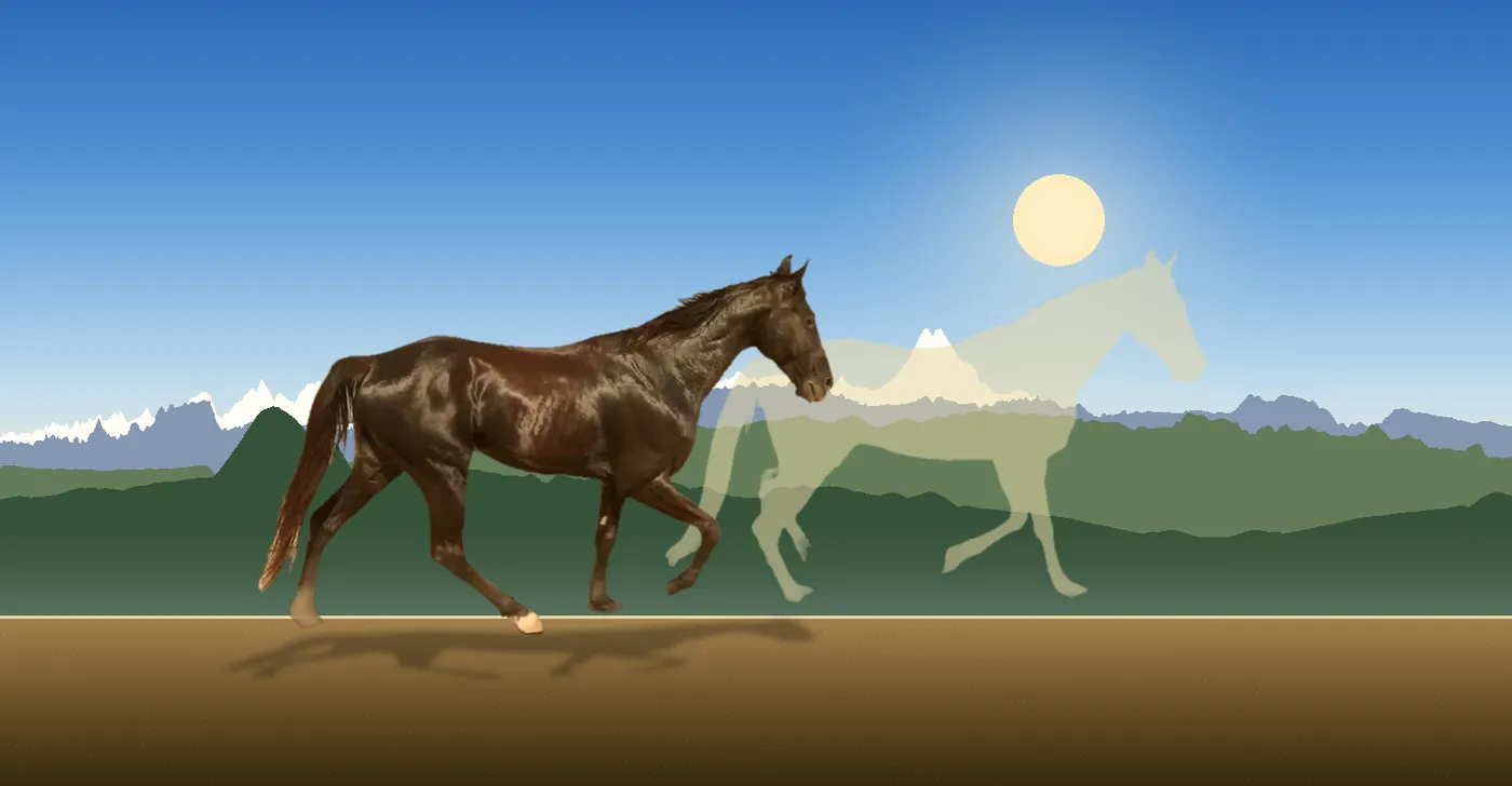 Horse Race, a Circassian game where right answers in Adyghe or Kabardian make your horse surge ahead
